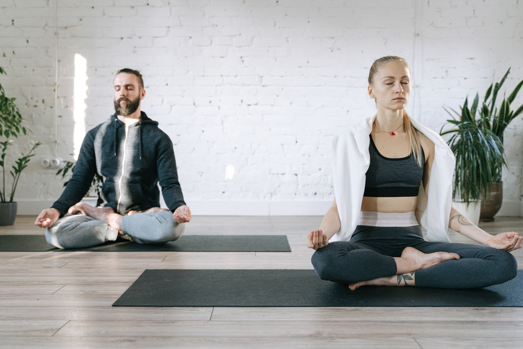 Two people sitting in calm, eyes-closed meditation in a bright, plant-filled studio